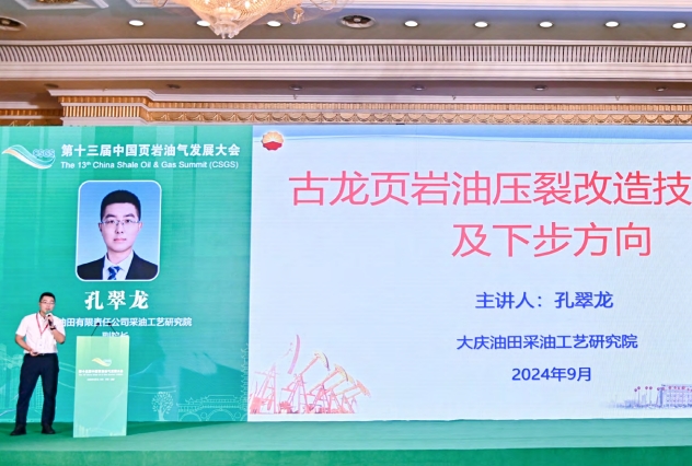 大慶古龍頁巖油開發進展